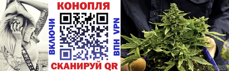 Купить закладки  Гусев  Бошки марихуана ГИДРОПОН 